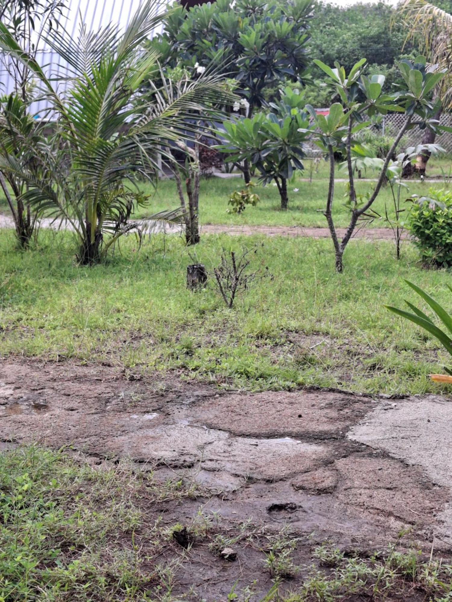 Cnunk Bungalow Gili Meno Esterno foto