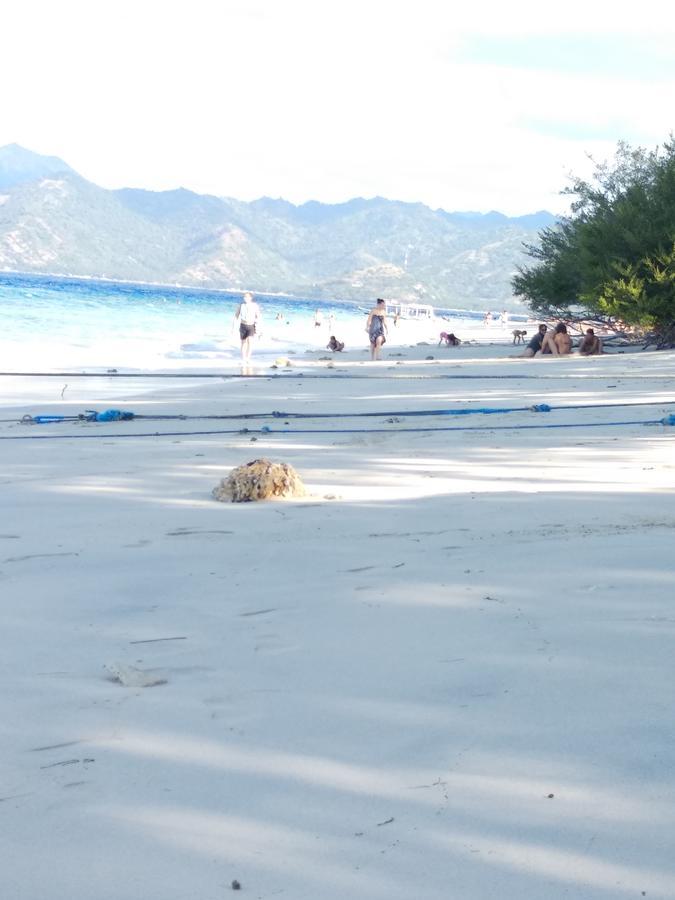Cnunk Bungalow Gili Meno Esterno foto
